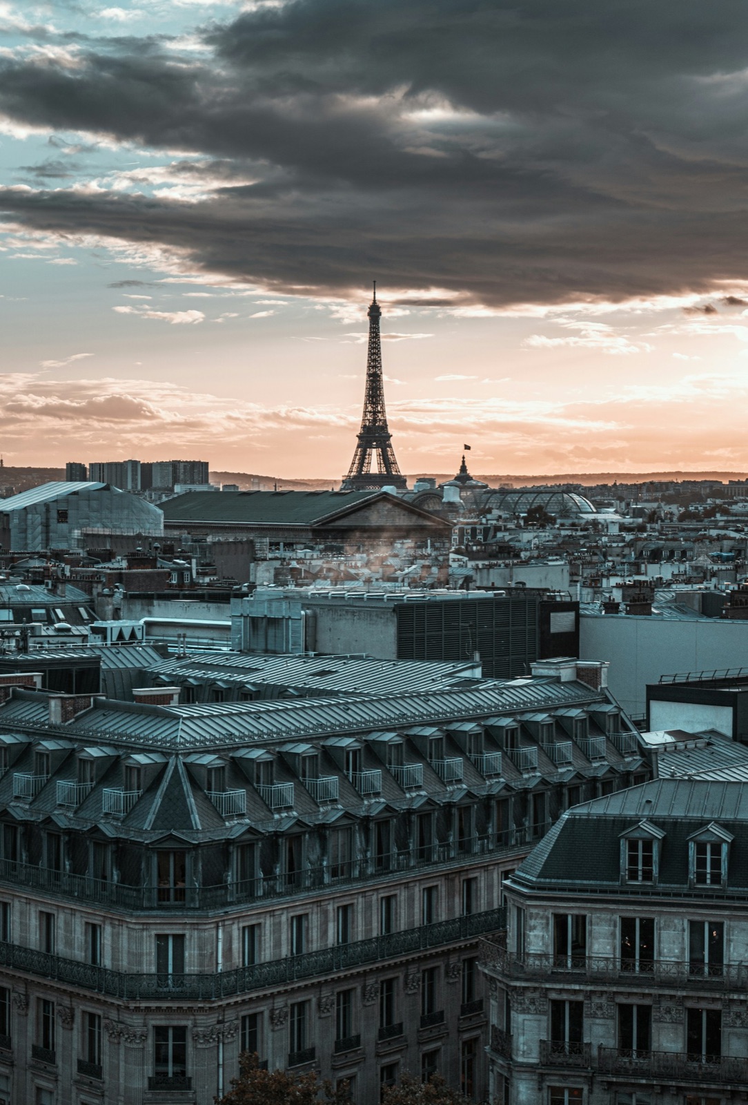 Paris skyline and Eiffel Tower at sunset